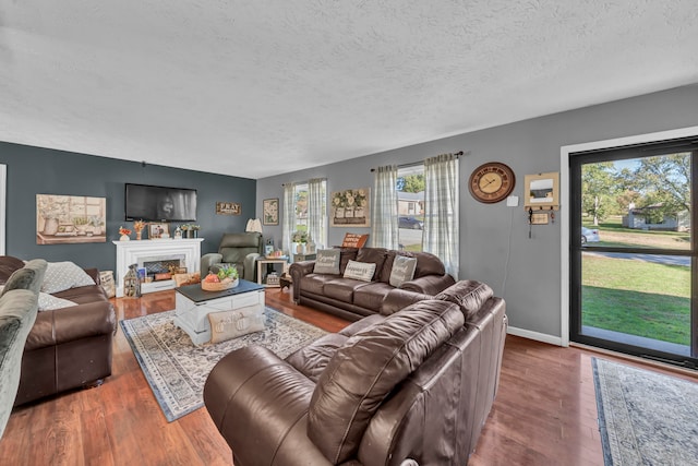 living room with a textured ceiling and hardwood / wood-style flooring