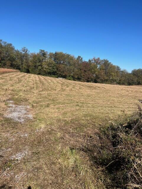 9999 Amber Ct, Stanford, KY 40484