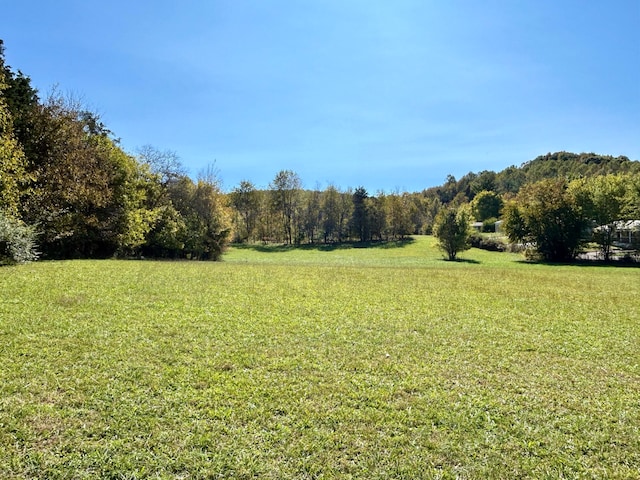 view of yard with a rural view