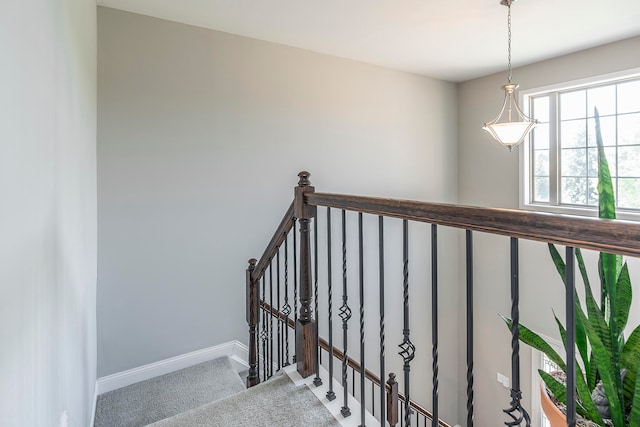 stairs featuring carpet floors