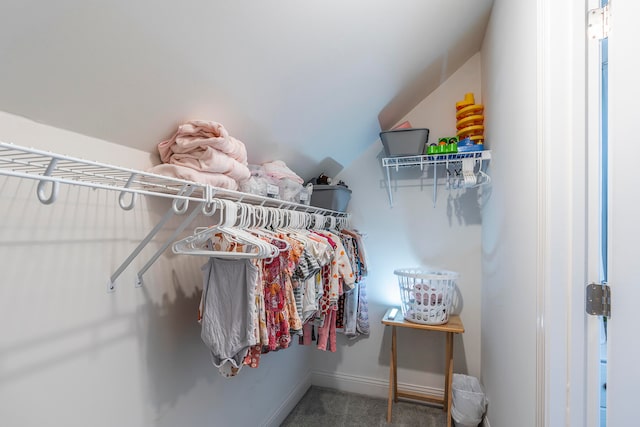 walk in closet with carpet floors