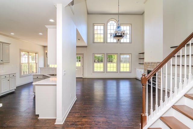 foyer entrance featuring a notable chandelier, a healthy amount of sunlight, a high ceiling, and dark hardwood / wood-style floors