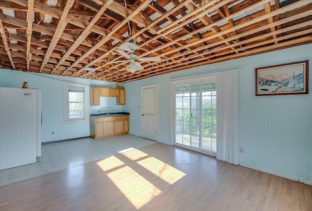 interior space featuring a wealth of natural light, light brown cabinets, white fridge, and ceiling fan