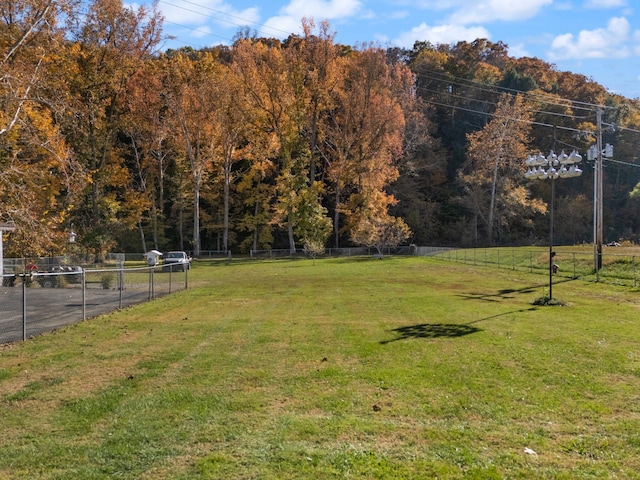 view of yard with a rural view