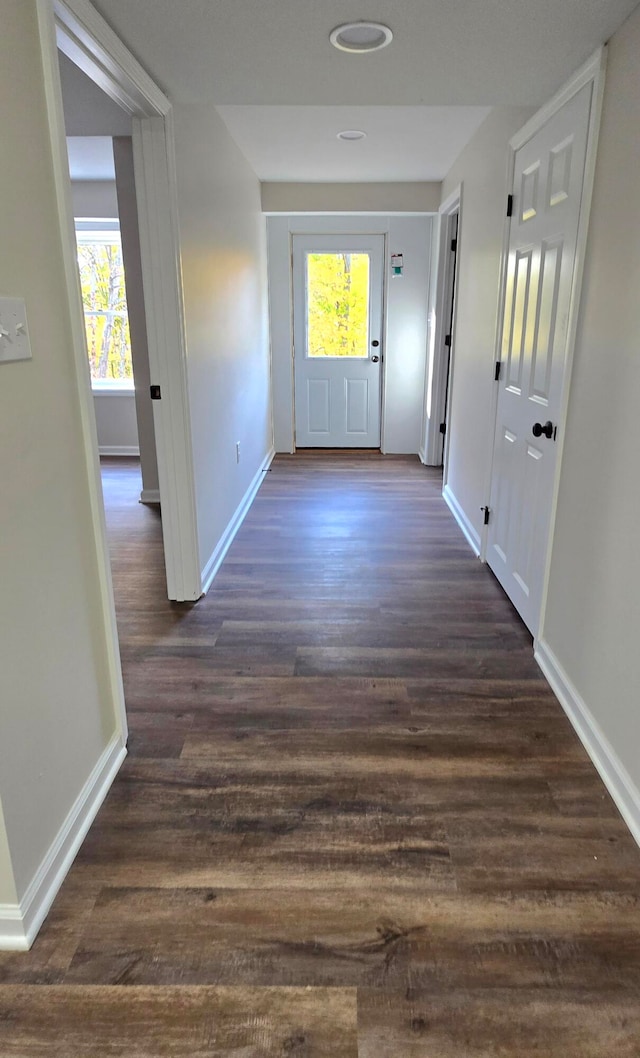 hall with dark hardwood / wood-style flooring