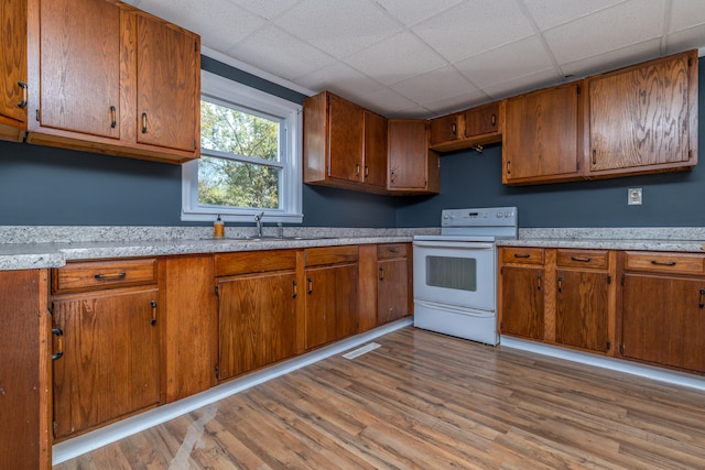 kitchen with sink, electric range, a drop ceiling, and light wood-type flooring