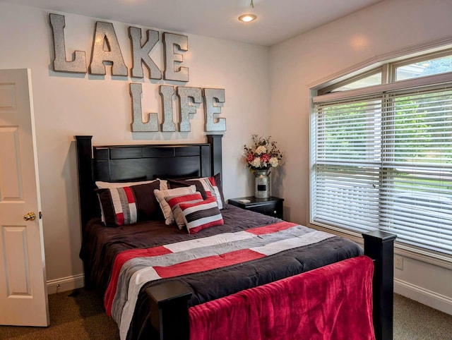 bedroom with carpet floors