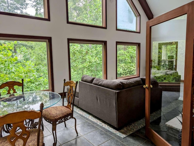 interior space with dark tile patterned floors, high vaulted ceiling, and plenty of natural light