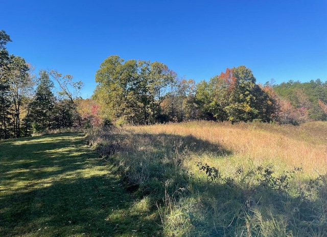 view of local wilderness