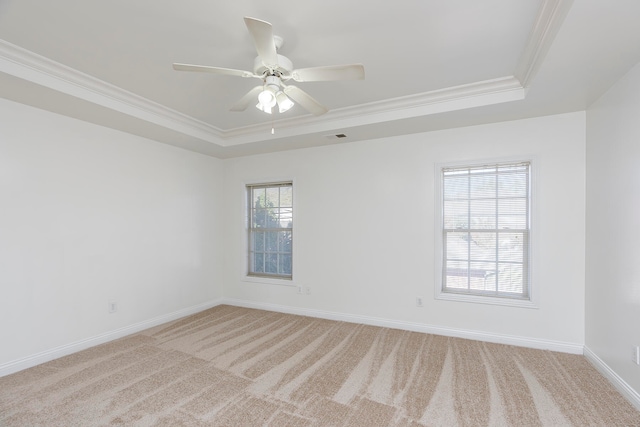 unfurnished room featuring light carpet, a tray ceiling, and a wealth of natural light