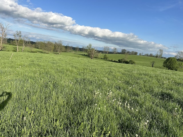 3489 Cynthiana Rd, Georgetown, KY 40324