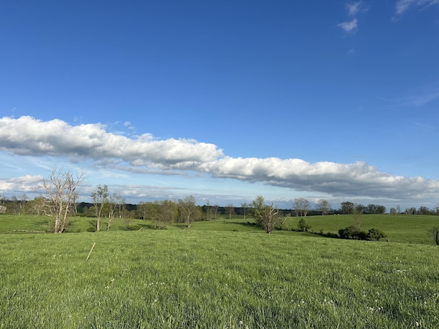 3489 Cynthiana Rd, Georgetown, KY 40324