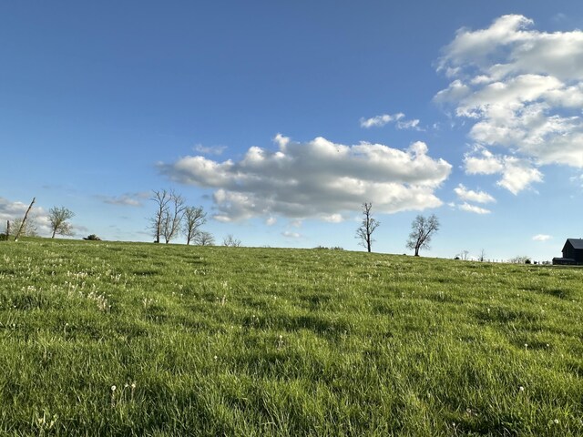 3523 Cynthiana Rd, Georgetown, KY 40324