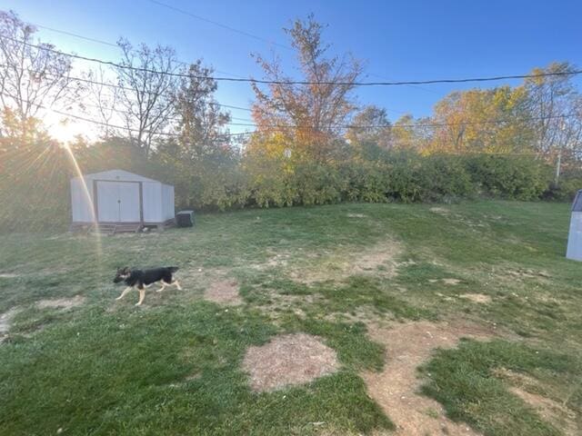 view of yard featuring a shed