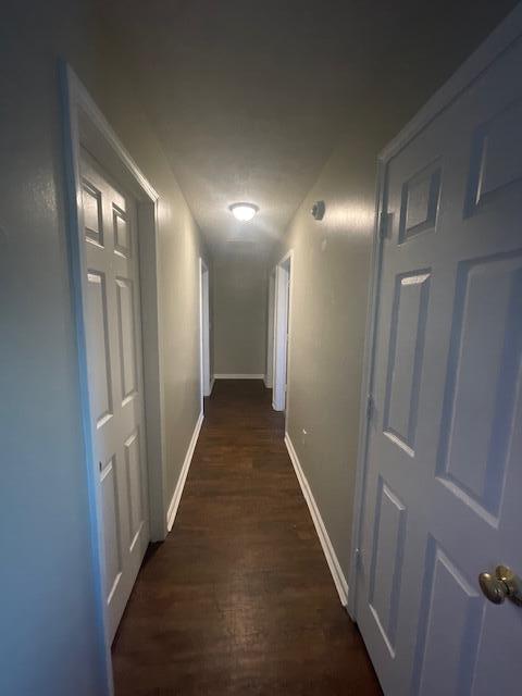 hall featuring dark hardwood / wood-style floors