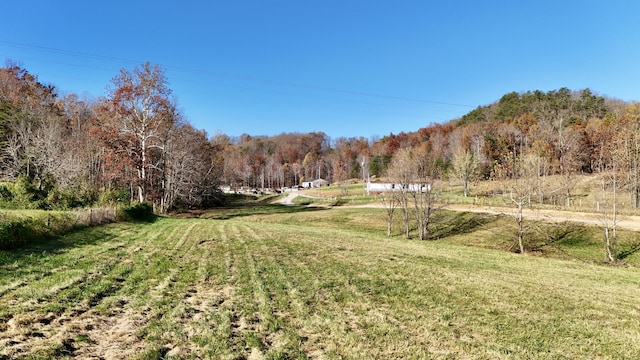 view of yard featuring a rural view