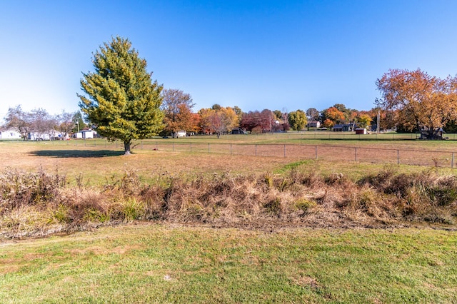 view of yard with a rural view