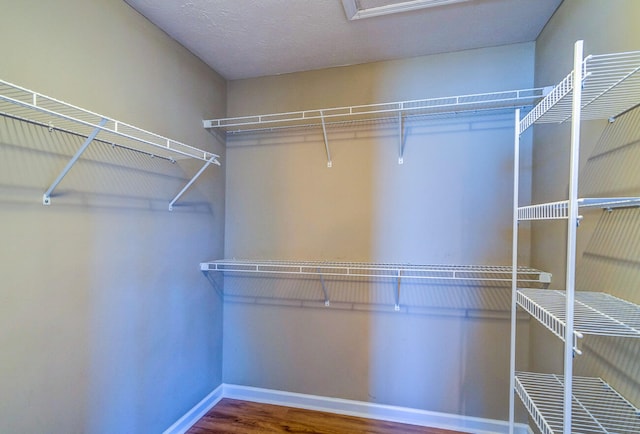 walk in closet featuring wood-type flooring