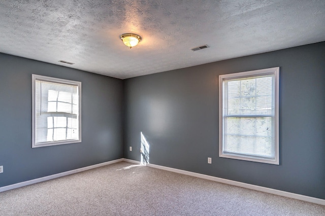 carpeted empty room featuring a textured ceiling and a wealth of natural light