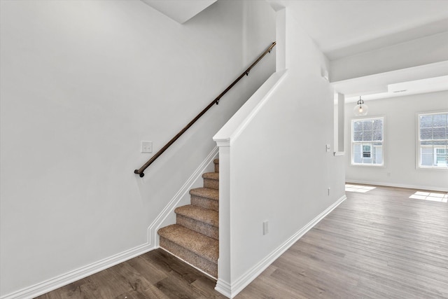 staircase with hardwood / wood-style floors