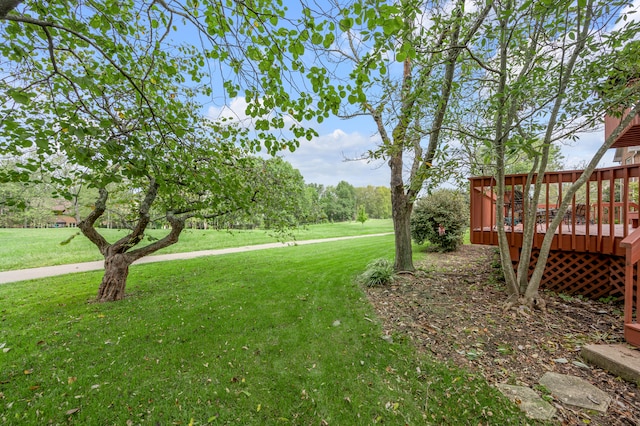 view of yard featuring a deck