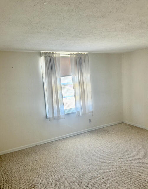 spare room featuring carpet flooring and a textured ceiling