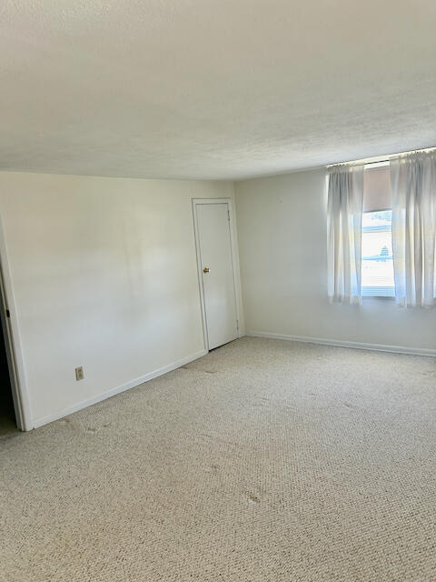 unfurnished room with light colored carpet