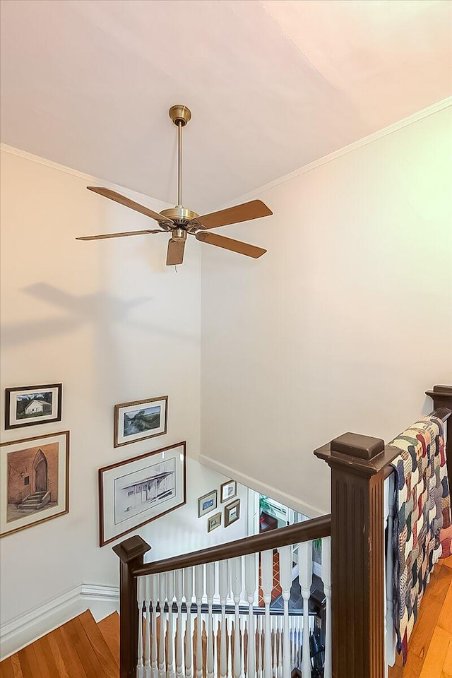 stairway featuring hardwood / wood-style floors, crown molding, and ceiling fan