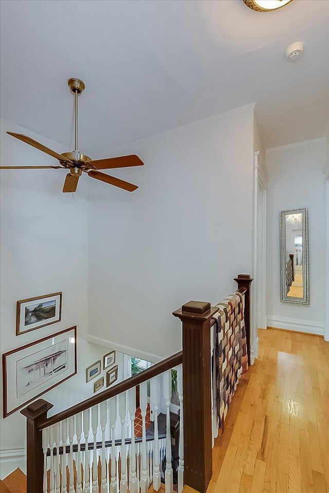 hall featuring light hardwood / wood-style floors and ornamental molding