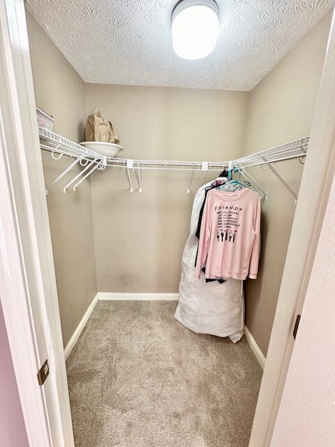 walk in closet with carpet