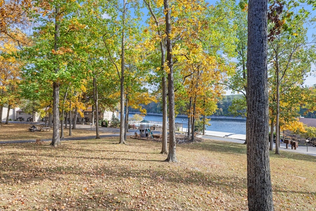 view of yard with a water view