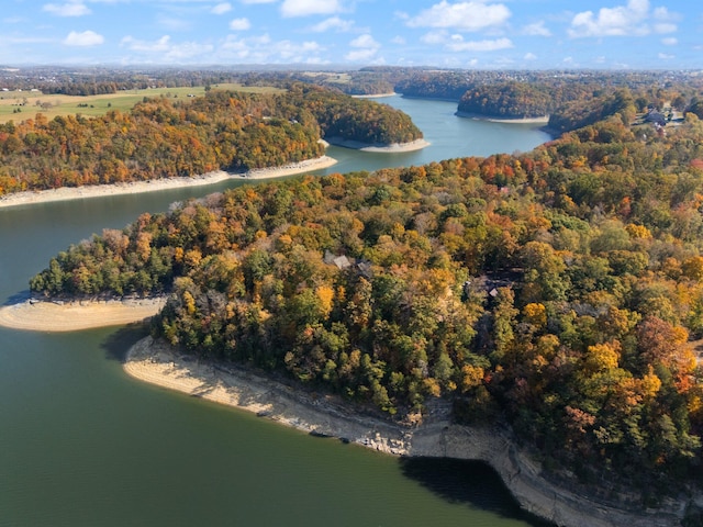 birds eye view of property with a water view and a forest view