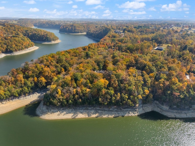 bird's eye view with a water view and a forest view