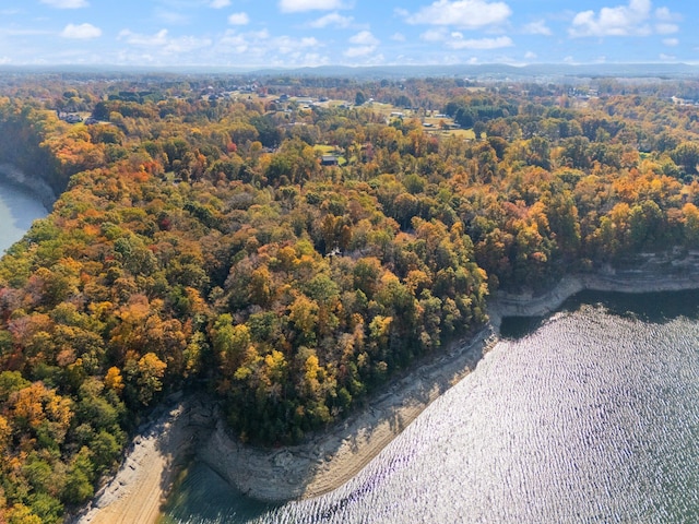 aerial view with a water view and a view of trees