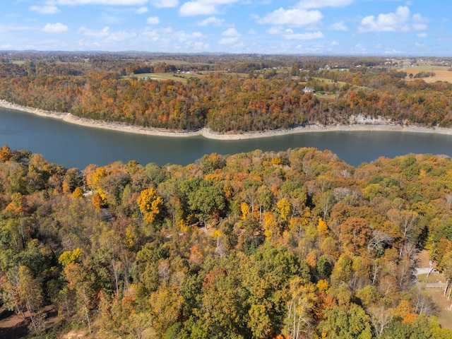 bird's eye view featuring a water view and a view of trees