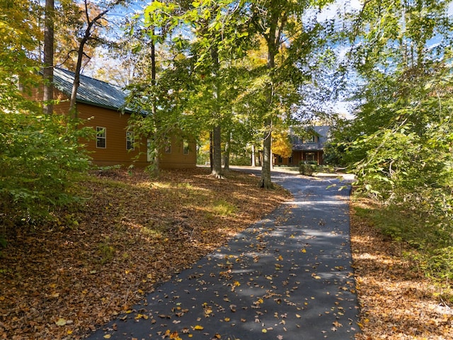 view of street with driveway