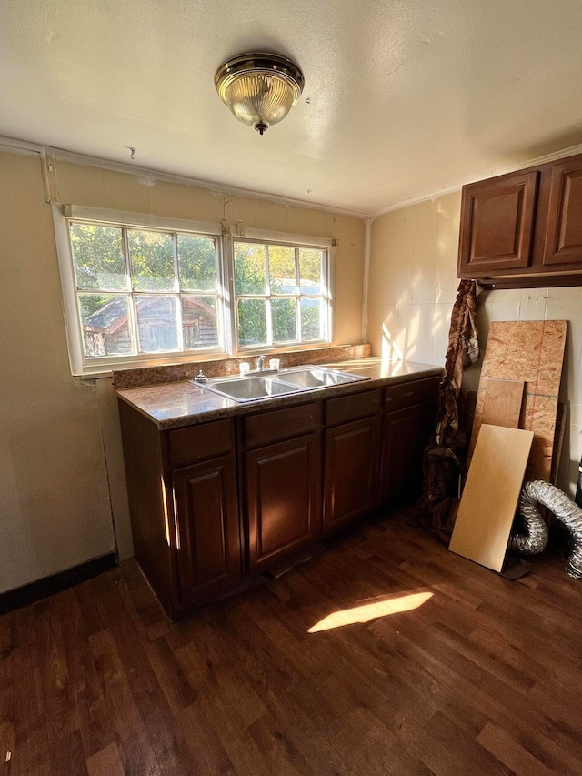 kitchen featuring sink, dark wood-type flooring, and dark brown cabinetry