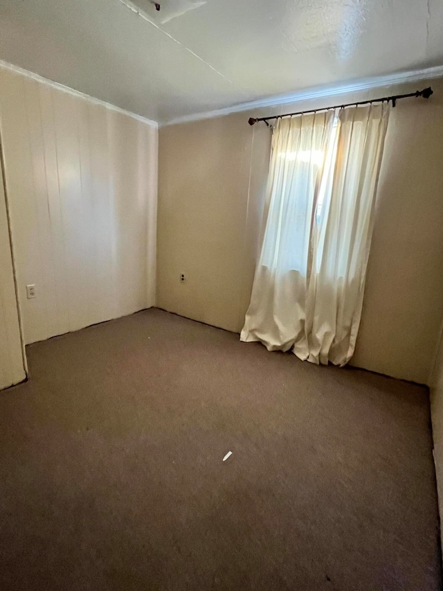 empty room featuring carpet floors