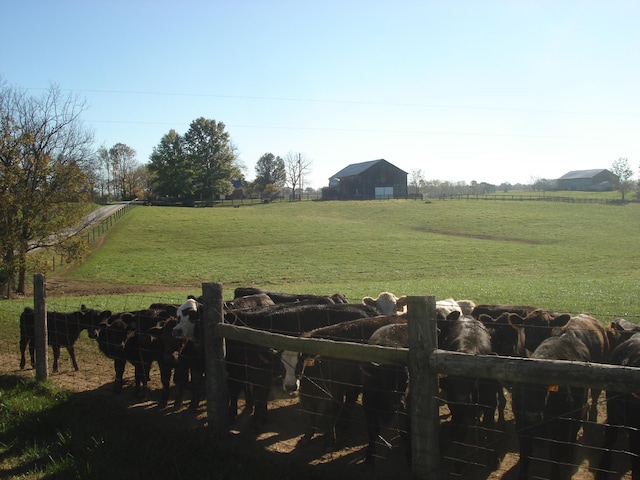 view of yard with a rural view