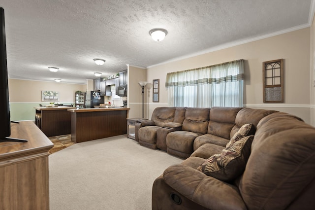 carpeted living room featuring ornamental molding and a textured ceiling