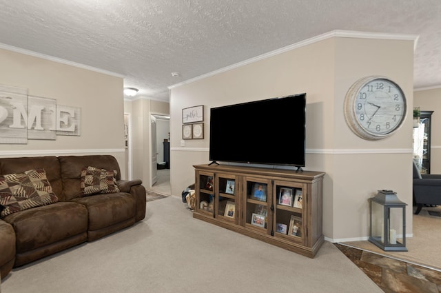 living room featuring crown molding, a textured ceiling, and carpet floors