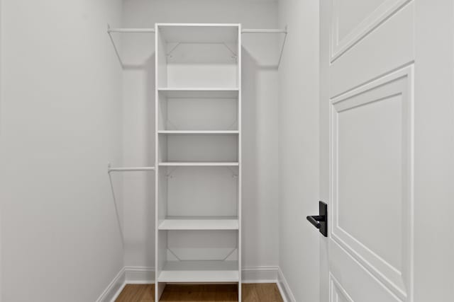 spacious closet with wood-type flooring