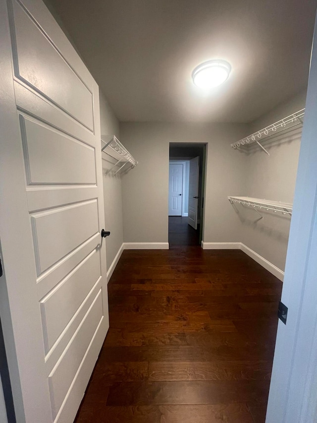 walk in closet with dark wood-type flooring