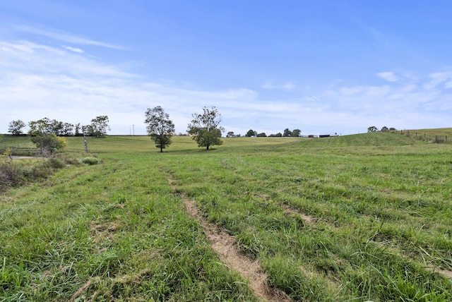 view of yard featuring a rural view