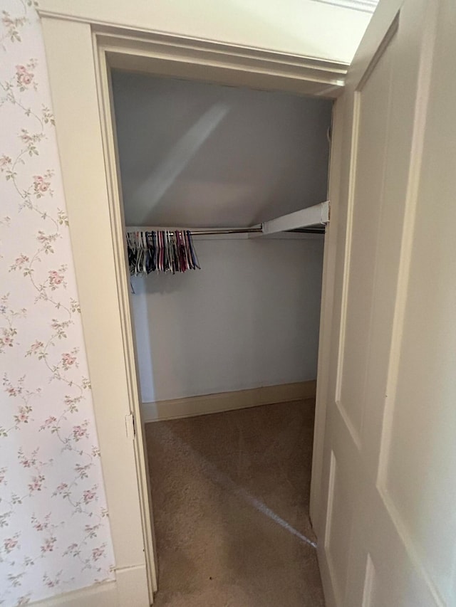 view of closet