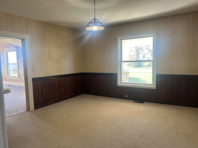 unfurnished room with wood walls and carpet