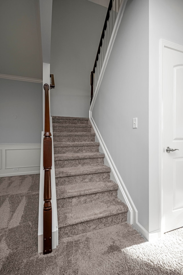 stairway featuring carpet floors