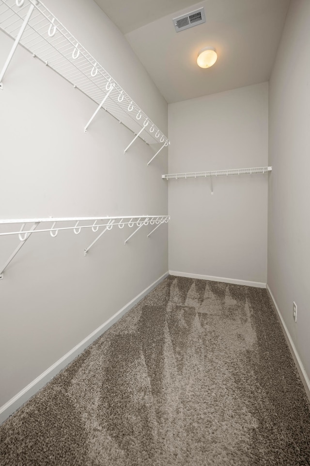 walk in closet with carpet