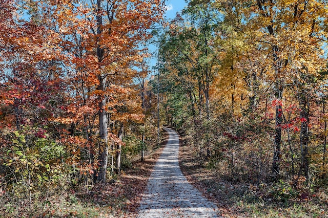 view of road