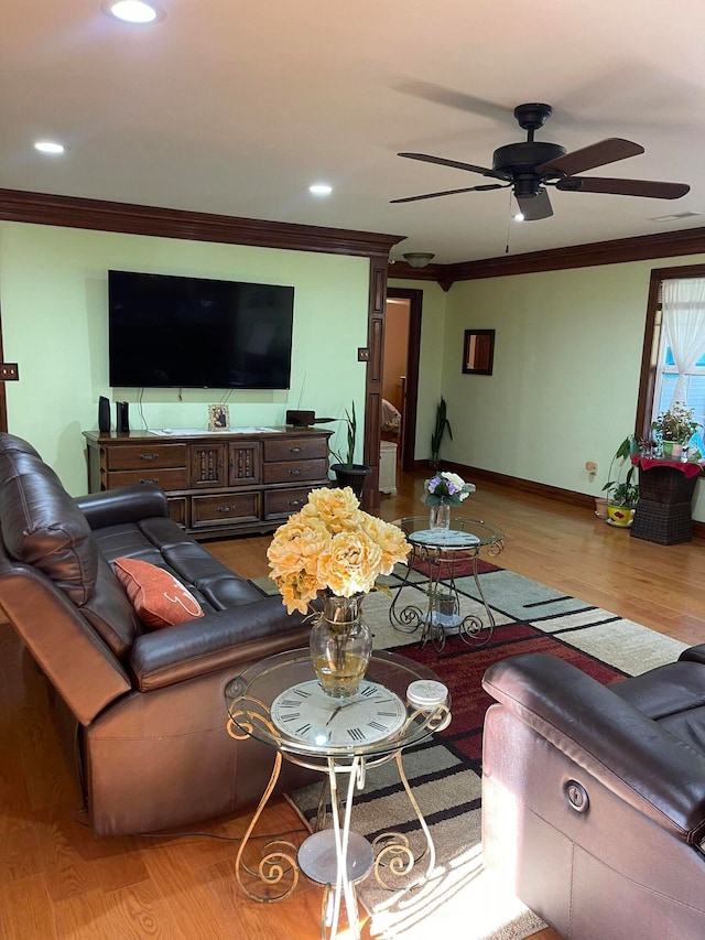 living room with ornamental molding, light wood-type flooring, and ceiling fan